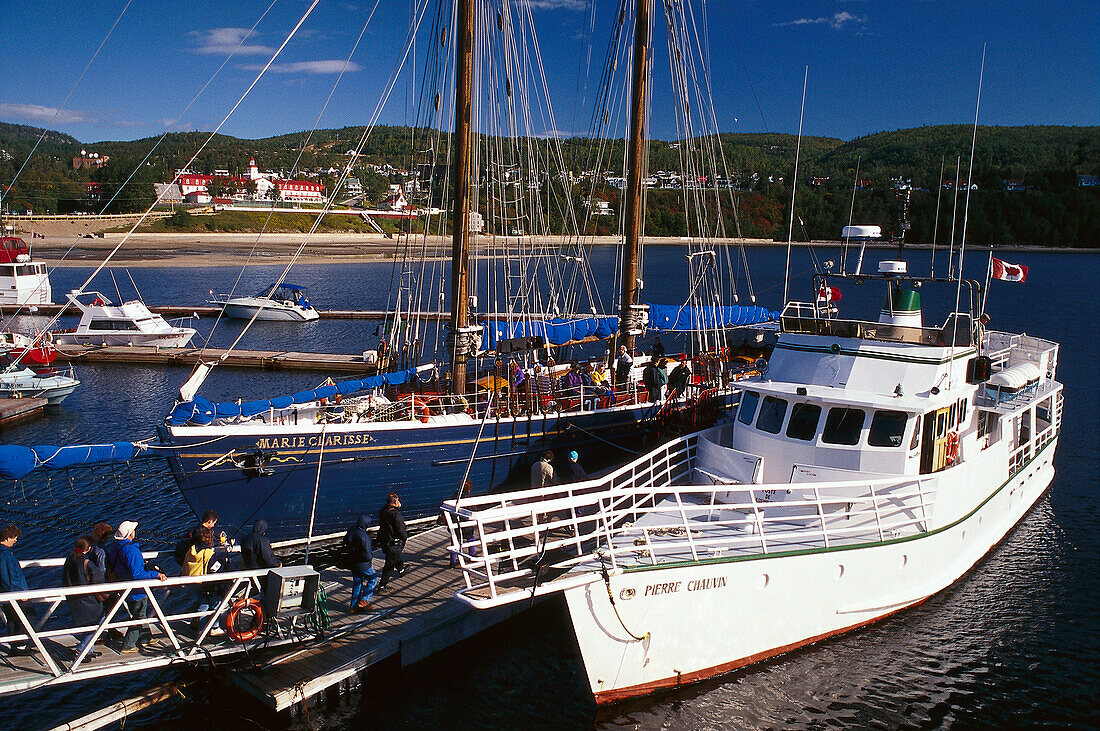 Harbour, Tadoussac, Quebec, Canada, North America, America