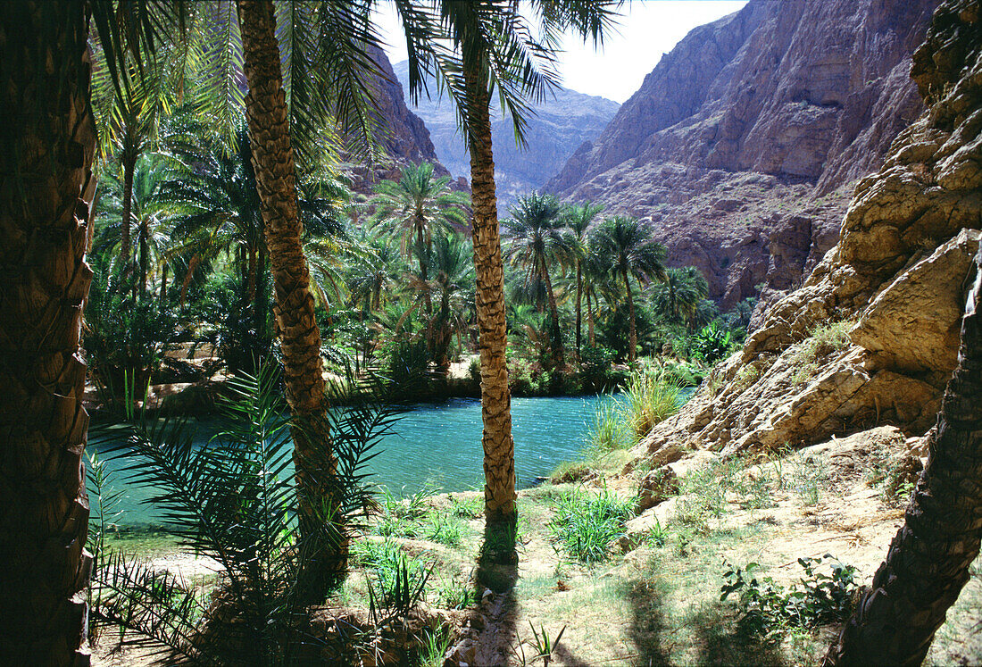 Wadi Shab Oase, Wadi Shab, Oman
