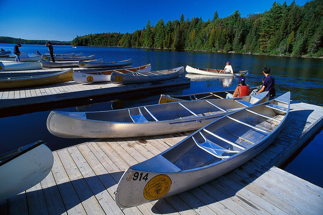 Landing stage for canoes, Canoe Lake, Algonquin Provincial Park, Ontario, Canada, North America, America