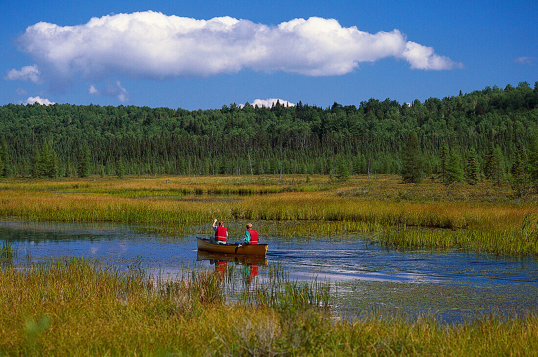 Canoeing at Opeongo River, Algonquin Provincial Park, Ontario, Canada, North America, America