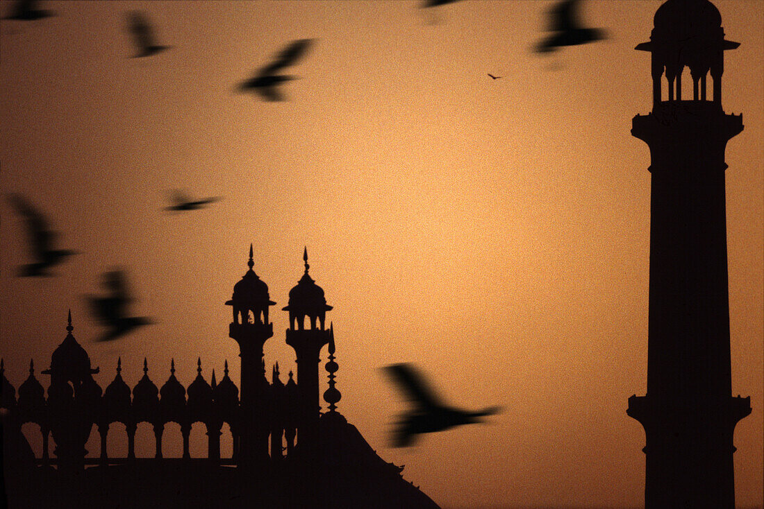 Jami Masjid mosque in Old Delhi, Delhi, India Asia