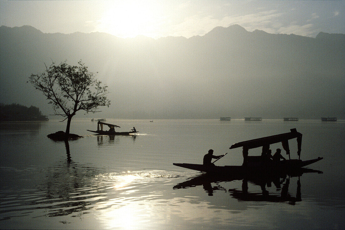 Shikaras on Dal Lake, Srinagar, Kashmir India, asia