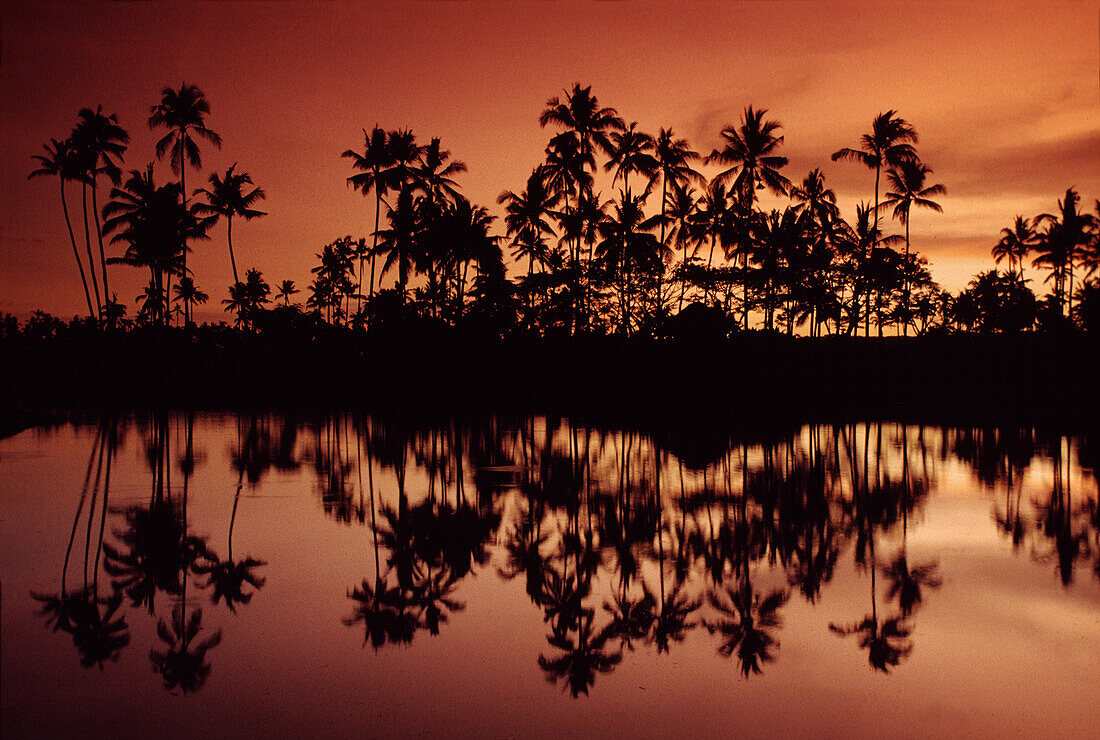 Palm trees in the afterglow, Nusa Dua, Bali Indonesia, Asia