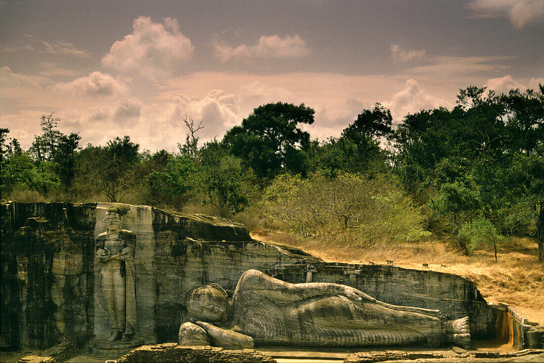 Lying buddha of Gal Vihara, Polonnaruwa, Sri Lanka Asia