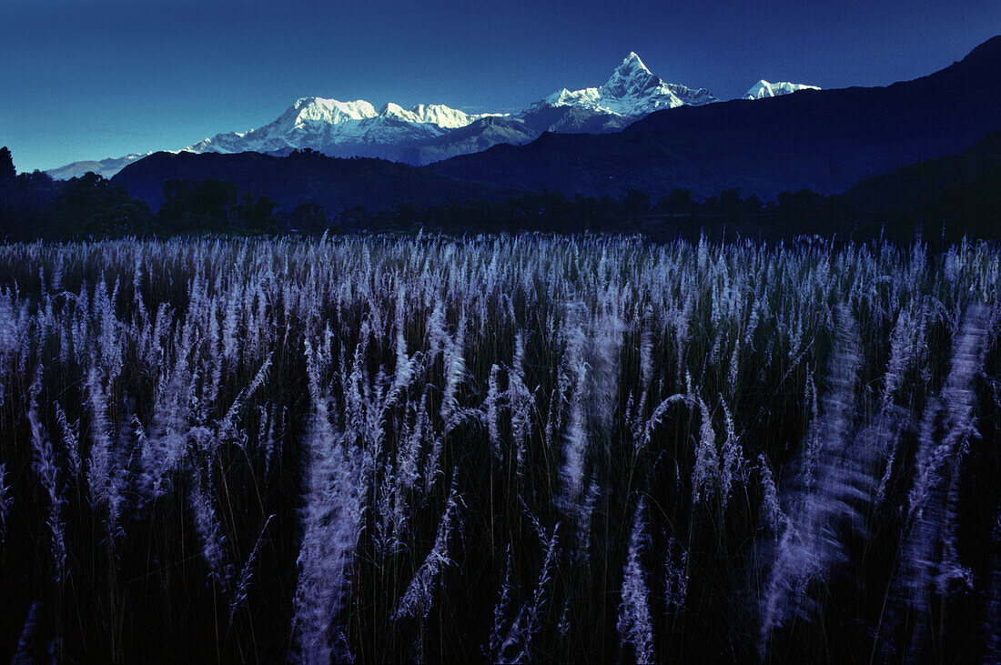 The holy Macchapucchare Mountain 6999m, , Pokhara, Nepal Asia