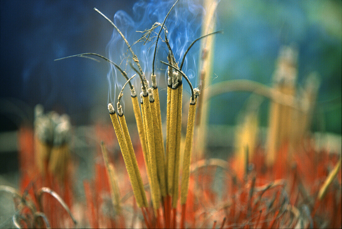 Incense sticks at Tran-Quoc-Pagoda, Hanoi, Vietnam, Asia