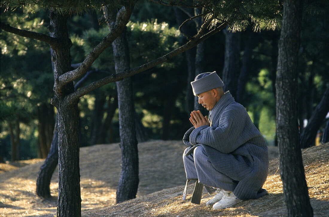 Betender Mönch zwischen Bäumen, Haeundae, Busan, Südkorea, Korea, Asien