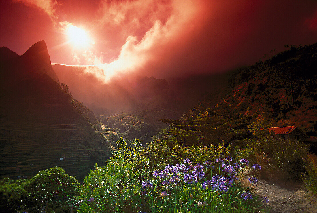 Landscape, Madeira