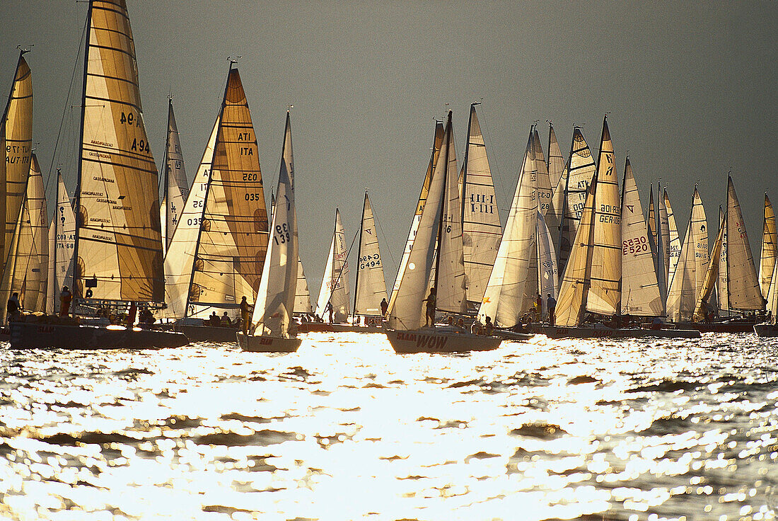 Sailing boats on the shining water of lake, Lago di Garda, Italy