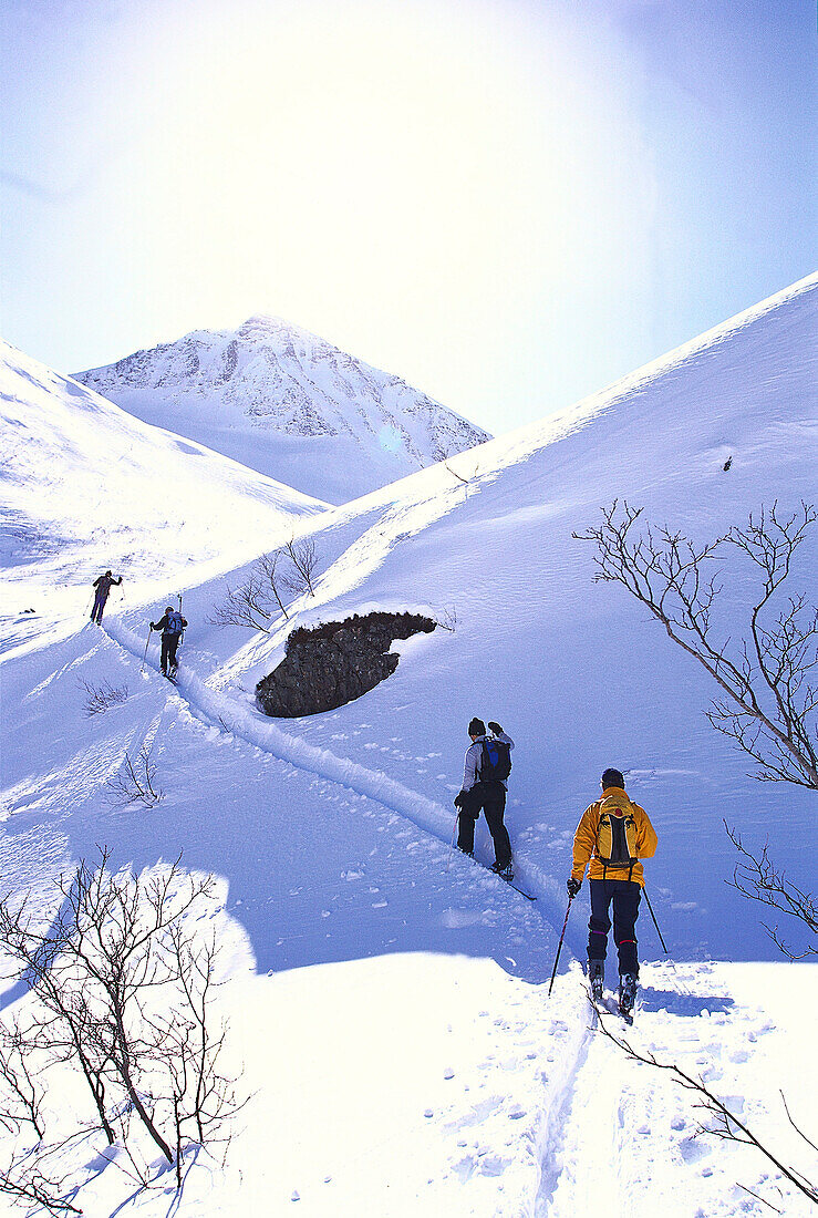 Langläufer laufen über schneebedeckte Landschaft