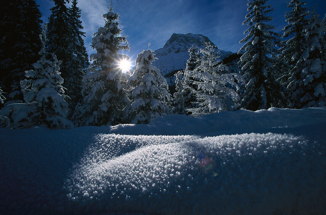 Snow glittering in the sunshine, Landscape in Winter, Lech am Arlberg, Vorarlberg, Austria