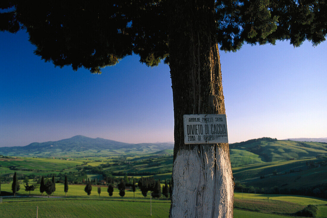 Typical tuscan Landscape, Toscana Italy