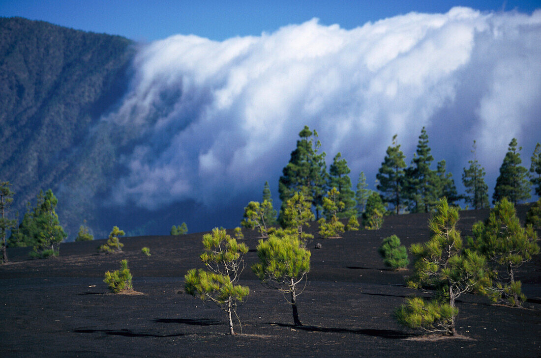 Cloudy Sky, Kaldera, La Palma Canary Islands