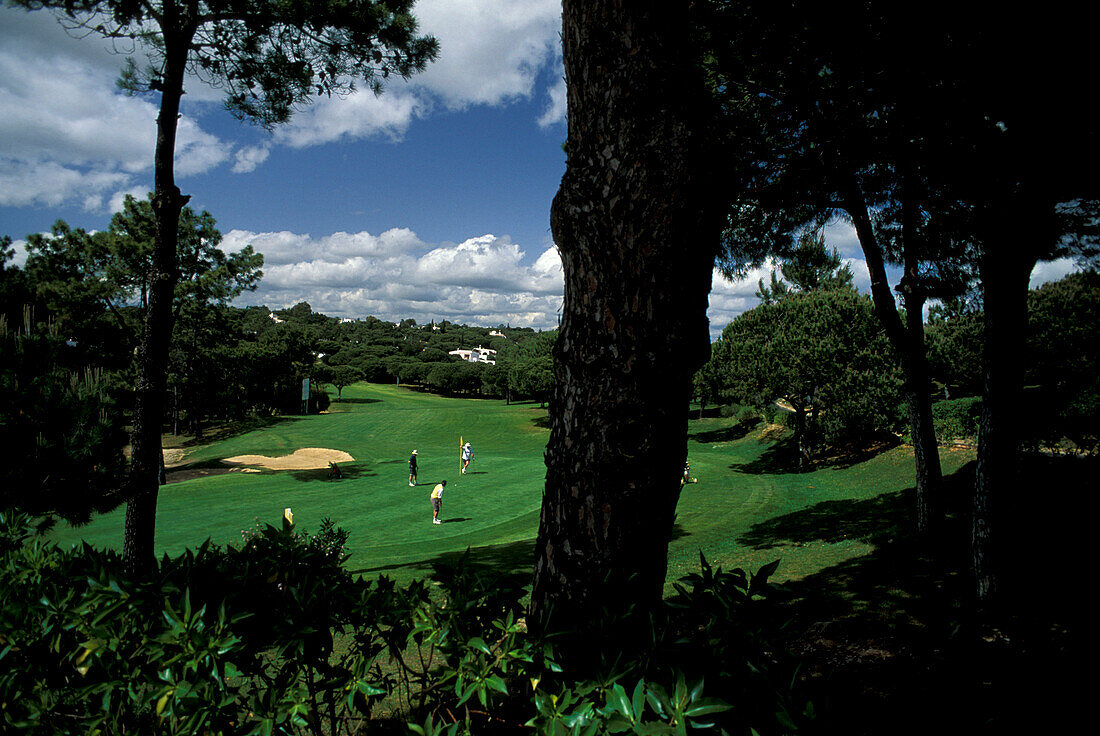 Golf Club, Madeira, Portugal