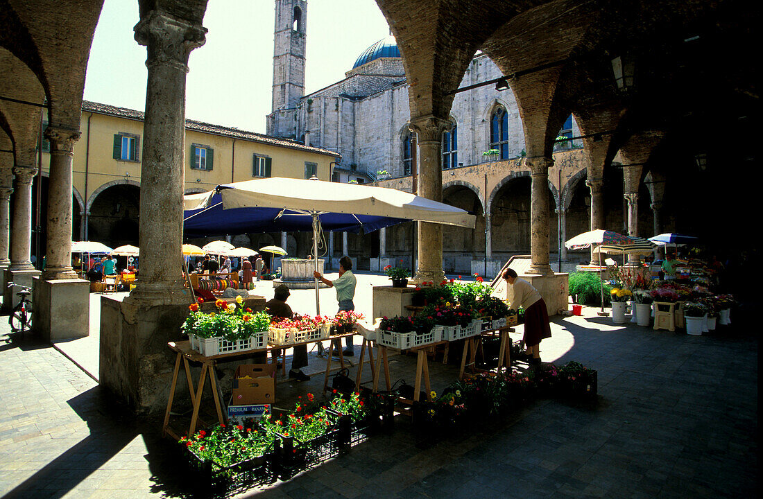 Market place, Ascoli Piceno Marken, Italy