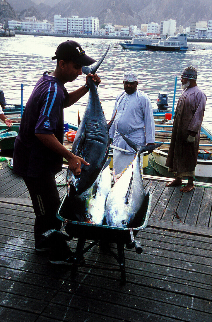 Menschen am Hafen transportieren Fische, Maskat, Oman, Vorderasien, Asien