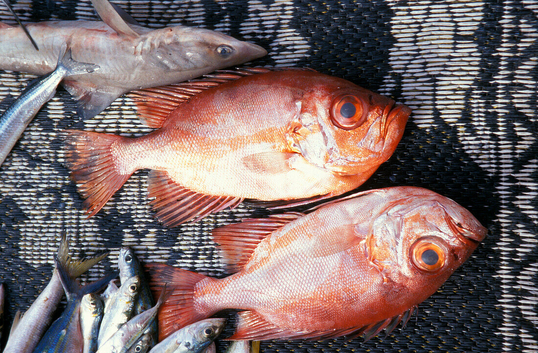 Fish market, Muscat, Oman