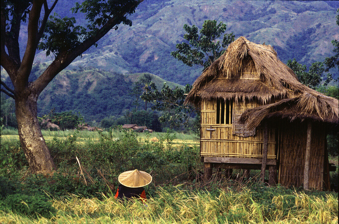 Ricefarmer and his home, Mountain Province, Luzon Philippines