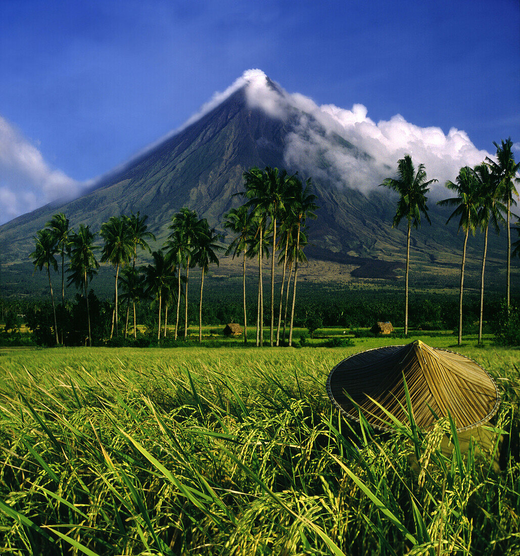 Reisbauer und Vulkan Mayon bei Legazpi, Insel Luzon, Philippinen