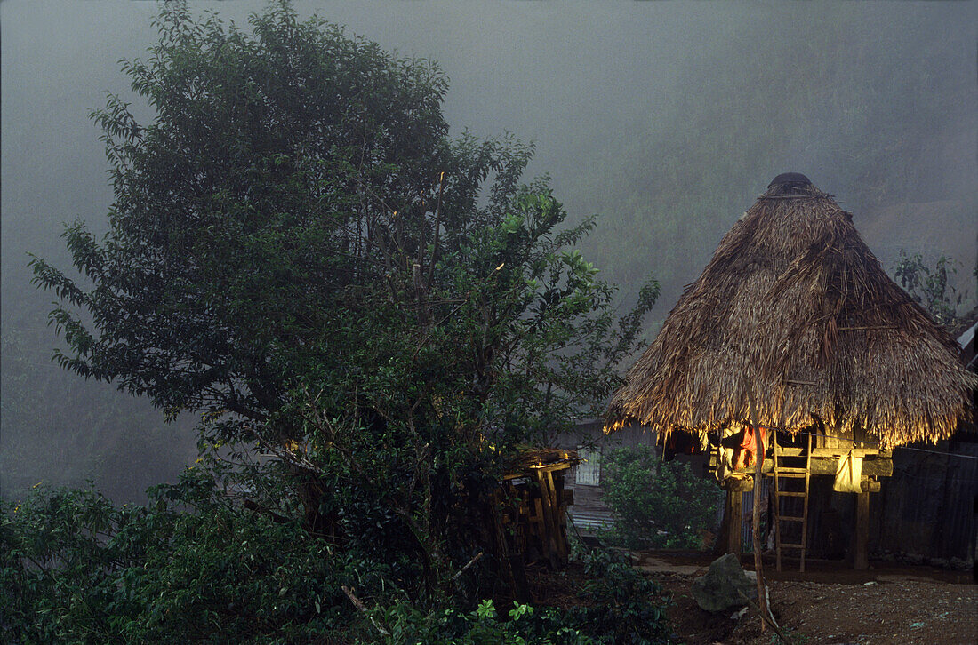 Ifugao hut, morning mist, Banaue, Luzon Island Philippines