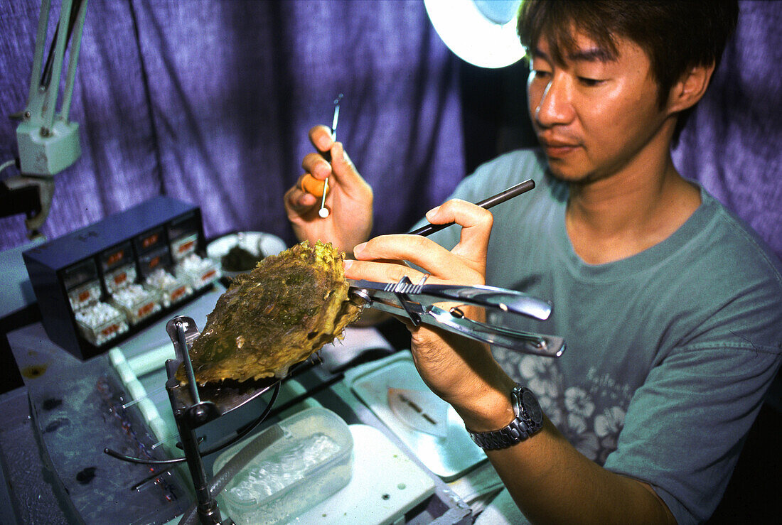 Ein Mann bearbeitet eine Auster in einer Perlenfarm, Palawan Insel, Philippinen, Asien