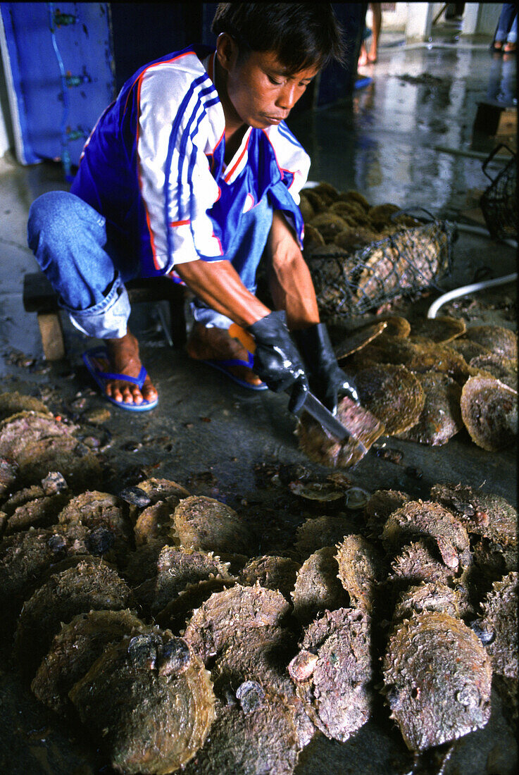 Pearl farm, cleaning oysters, Palawan Island, Philippines