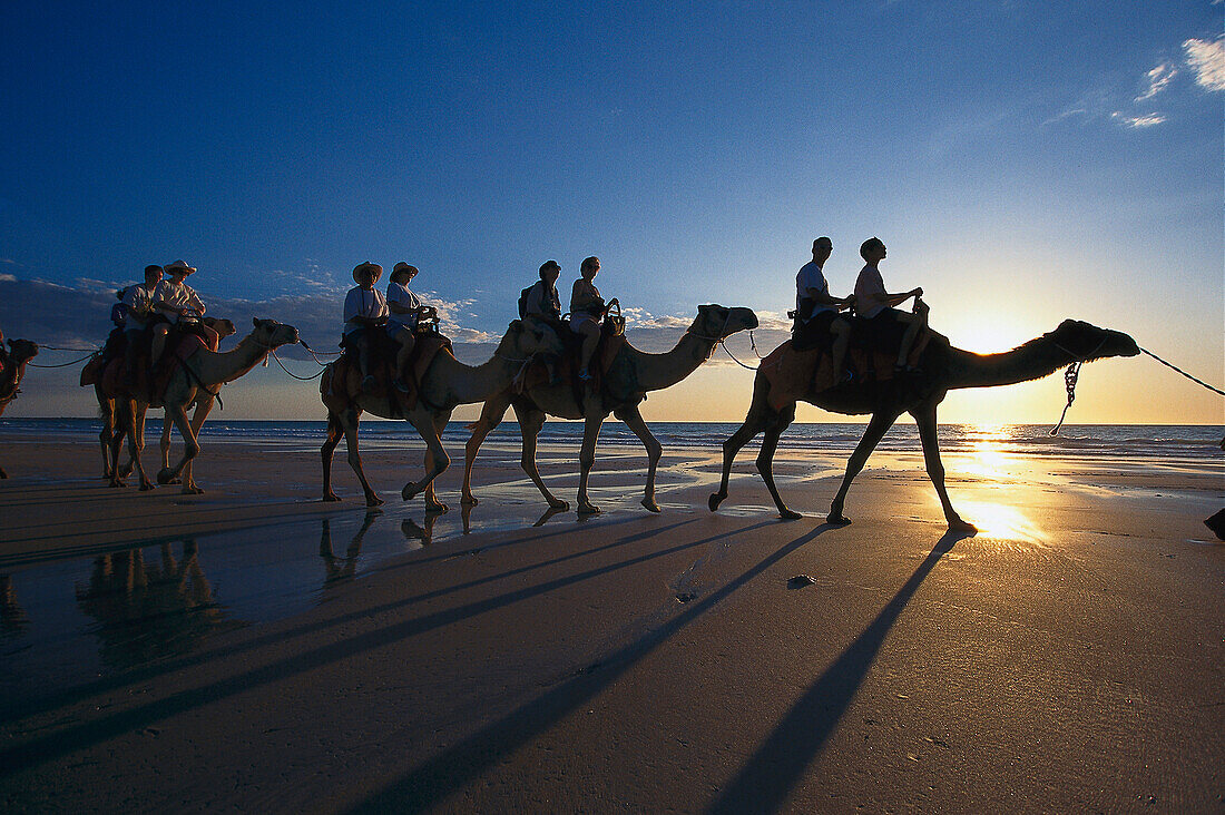 Kamelreiten am Strand, Cable Beach, Broome, Westaustralien, Australien