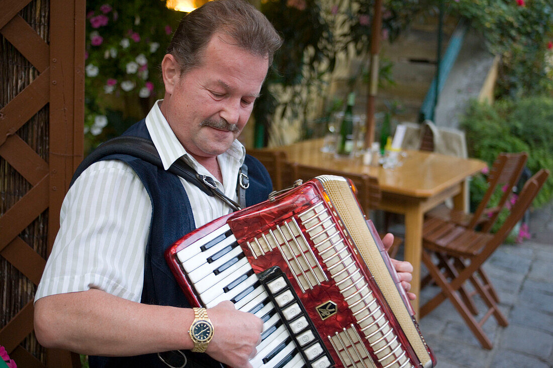 Man playing Schrammelmusik with his accordion in the Heuriger Mayer am Pfarrplatz, Heiligenstadt, Vienna, Austria