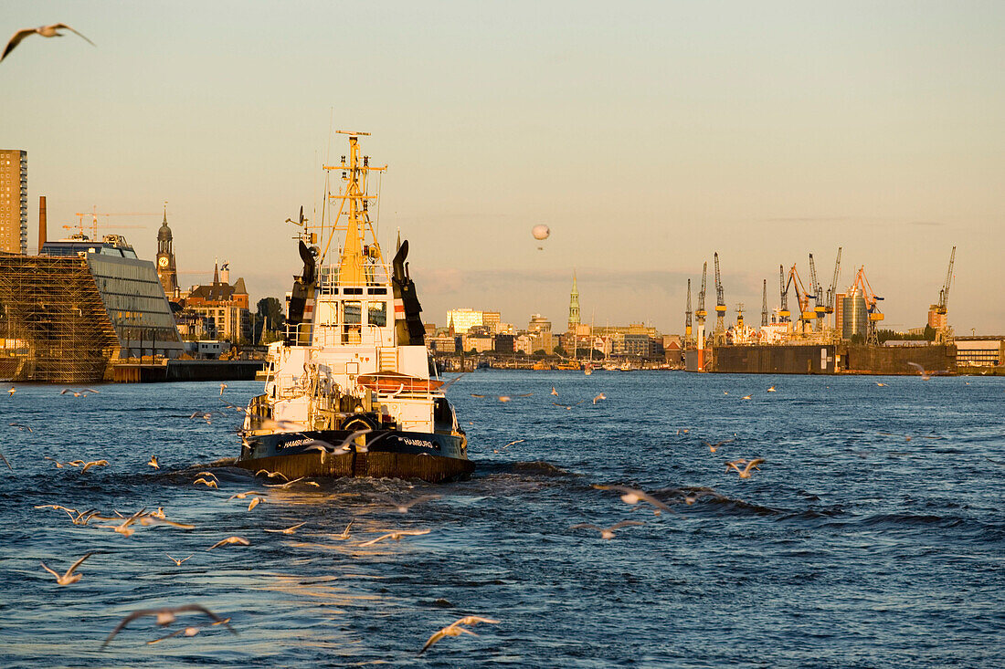 Tug passing harbour, Hamburg, Germany