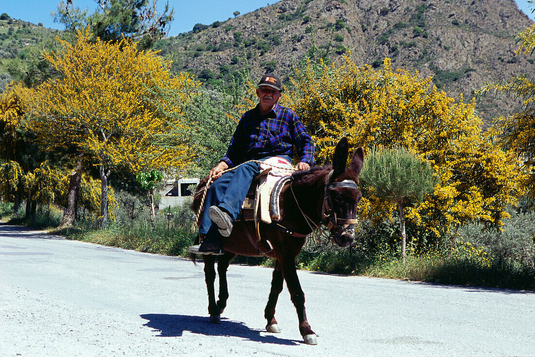 Farmer on Donkey near Kamares, Crete, Griechenland