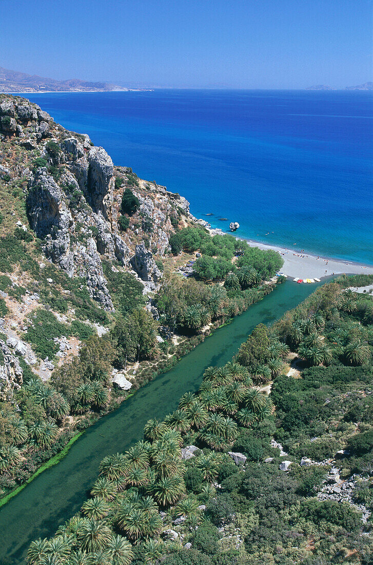 Pal trees, mouth of Megelopotamos, Beach of Preveli, Crete, Greece