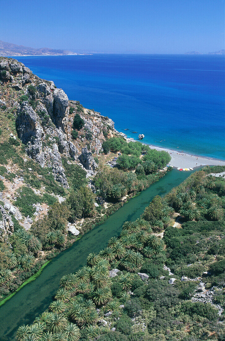 Palmen, Megalopotamos-Mündung, Preveli-Strand, Kreta, Griechenland