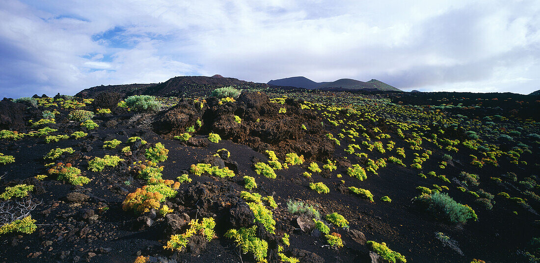 Volcan de Teneguia, La Palma, Spain