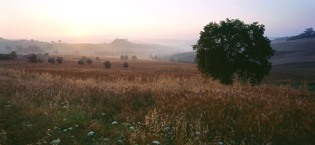 Landscape near San Quirico d'Orcia, Tuscany, Italy