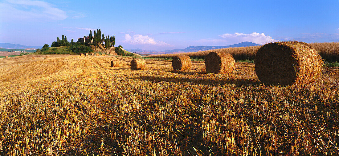 Landscape near San Quirico d'Orcia, Tuscany, Italy