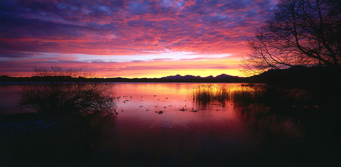 Lake Staffelsee, Murnau, Blaues Land, Landkreis Garmisch, Upper Bavaria, Germany