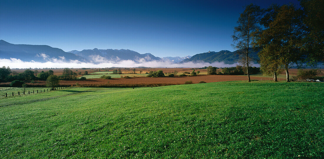 Murnauer Moos, Blick auf Wettersteingebirge, Landkreis Garmisch Partenkirchen, Oberbayern, Deutschland