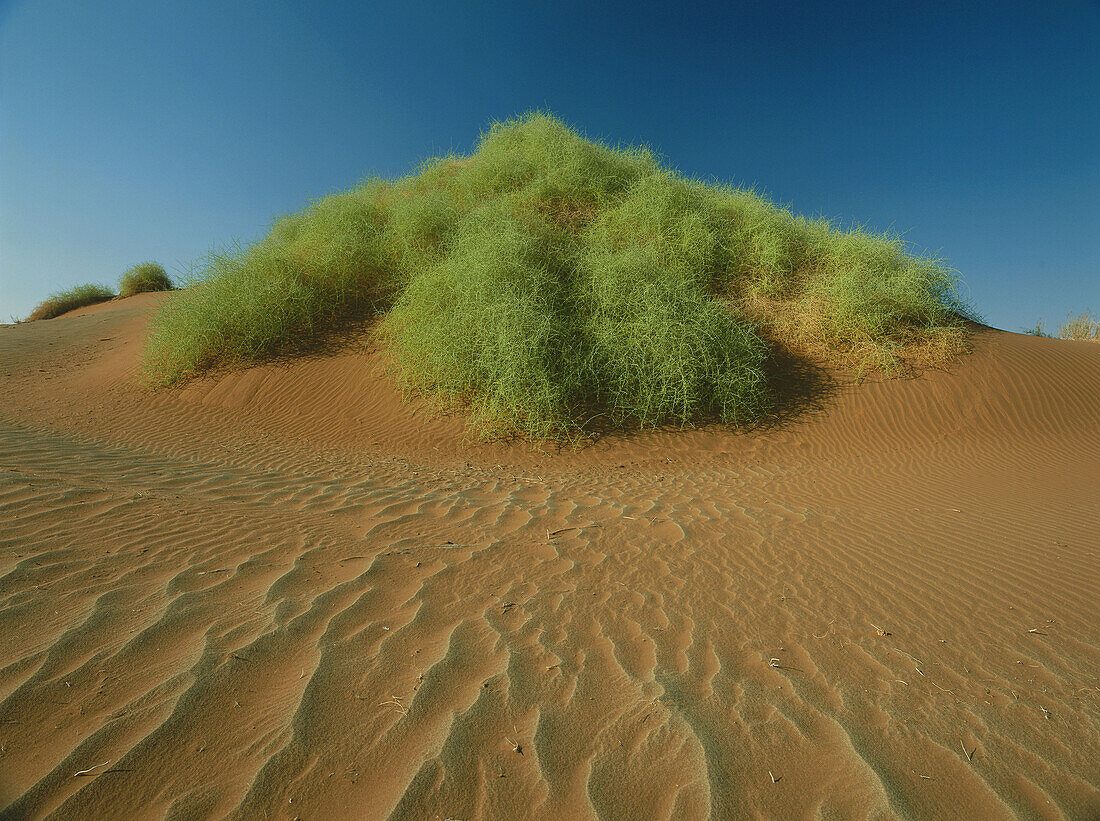 Sossusvlei, Namibia, Africa