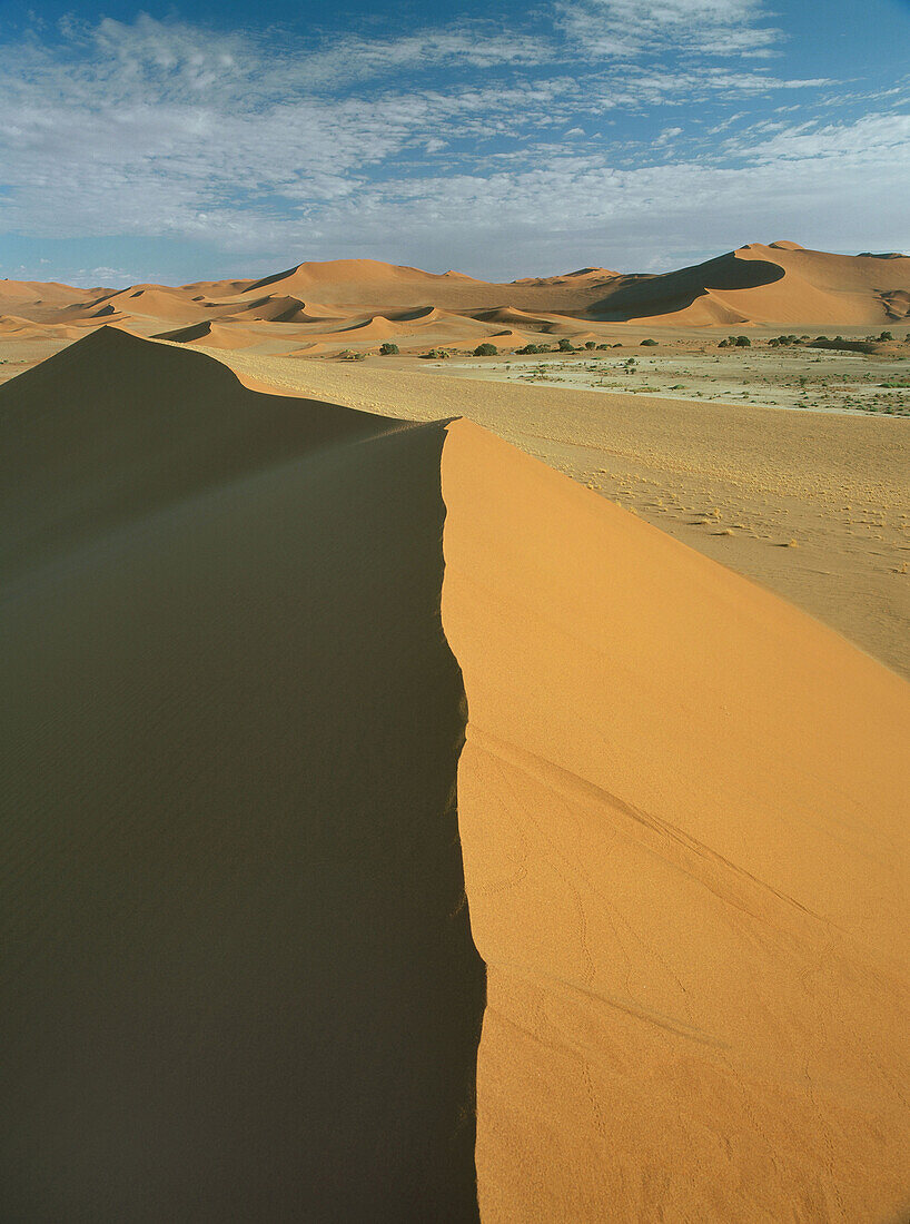 Dünen, Namibwüste, Sossusvlei, Namibia, Afrika