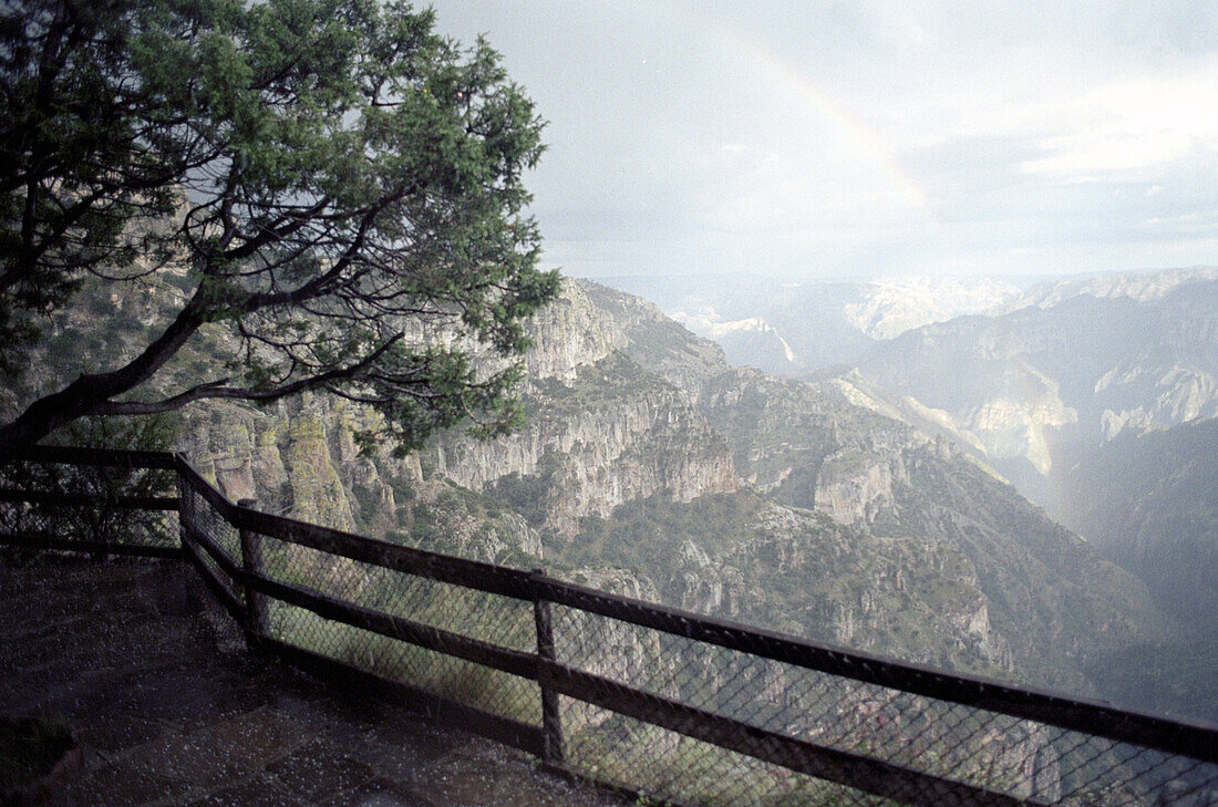 Pfad mit Zaun am Copper Canyon, Divisadero, Chihuahua, Mexiko, Amerika