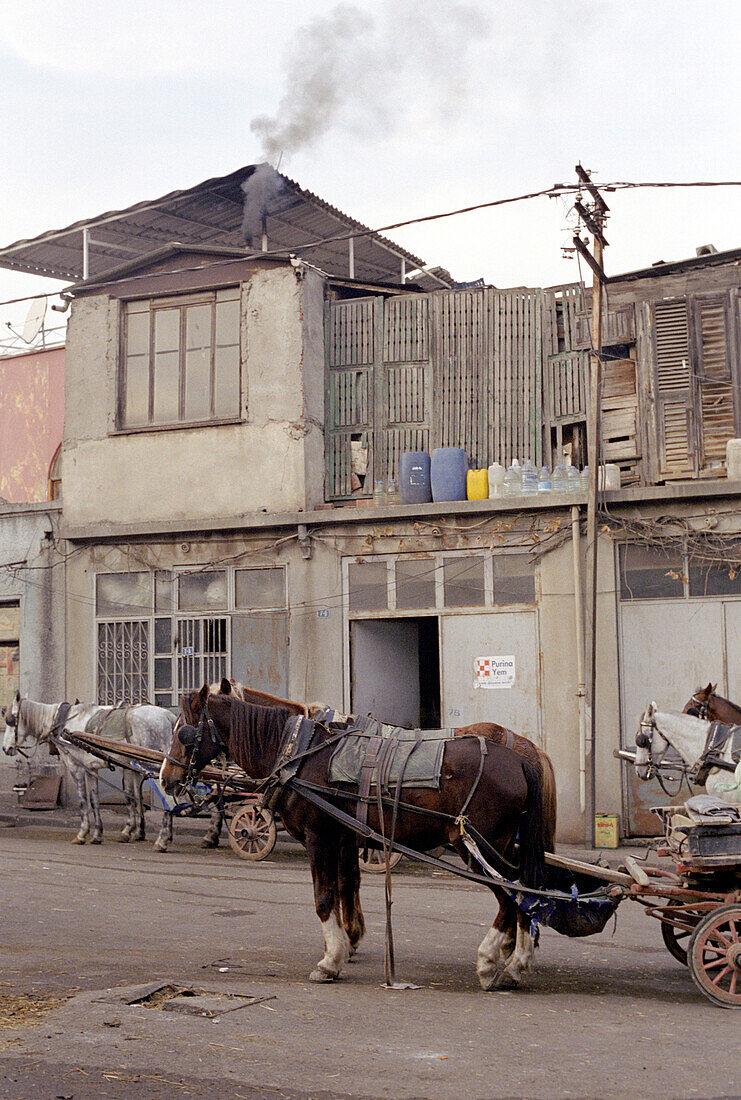 Horse carriages on Bueyuekada Island, Istanbul, Turkey