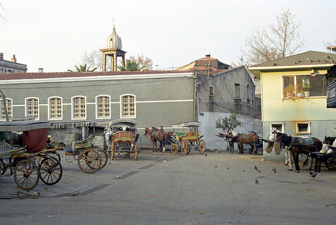 Carriage on Buyukada Island, Istanbul, Turkey