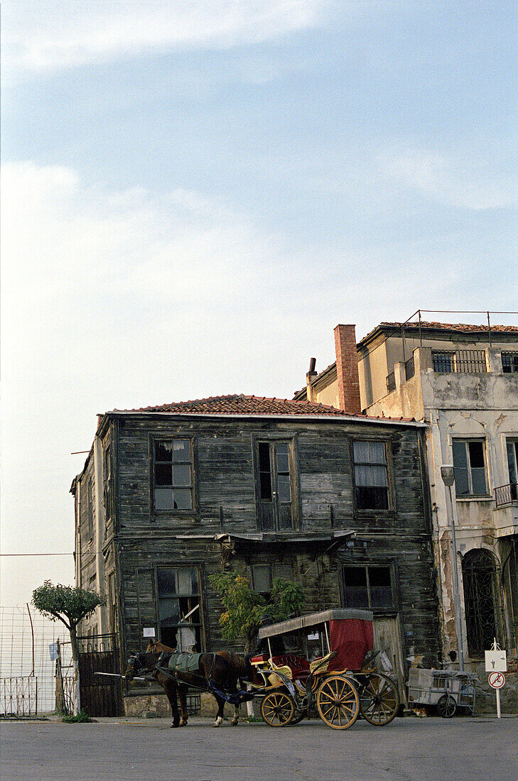 Kutsche auf Büyükada, Istanbul, Türkei