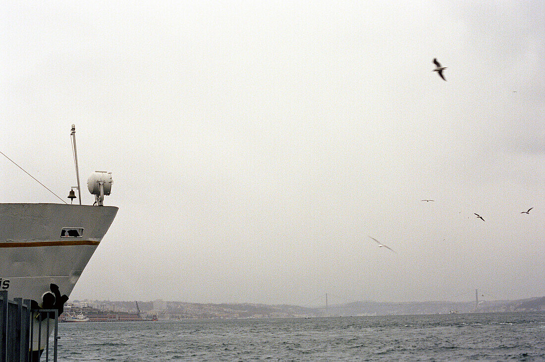 Ship, Bosporus, Istanbul, Turkey