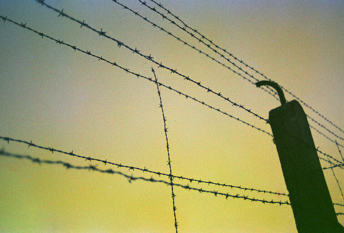 Barbed wire of a former concentration camp at dawn, Dachau, Bavaria, Germany