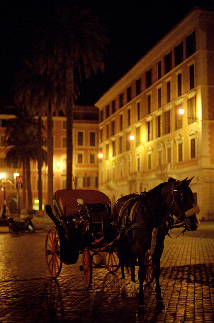 Horse Carriage, Spanish Steps, Rome, Italy