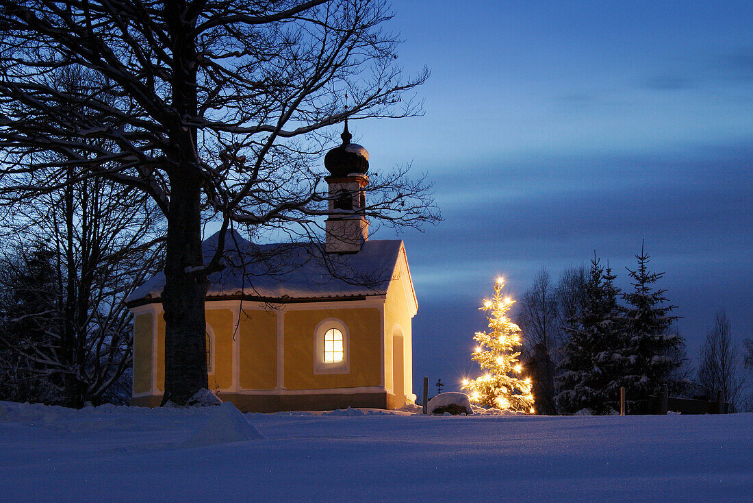 Little chapel with christmastree at dusk, Upper Bavaria, Germany