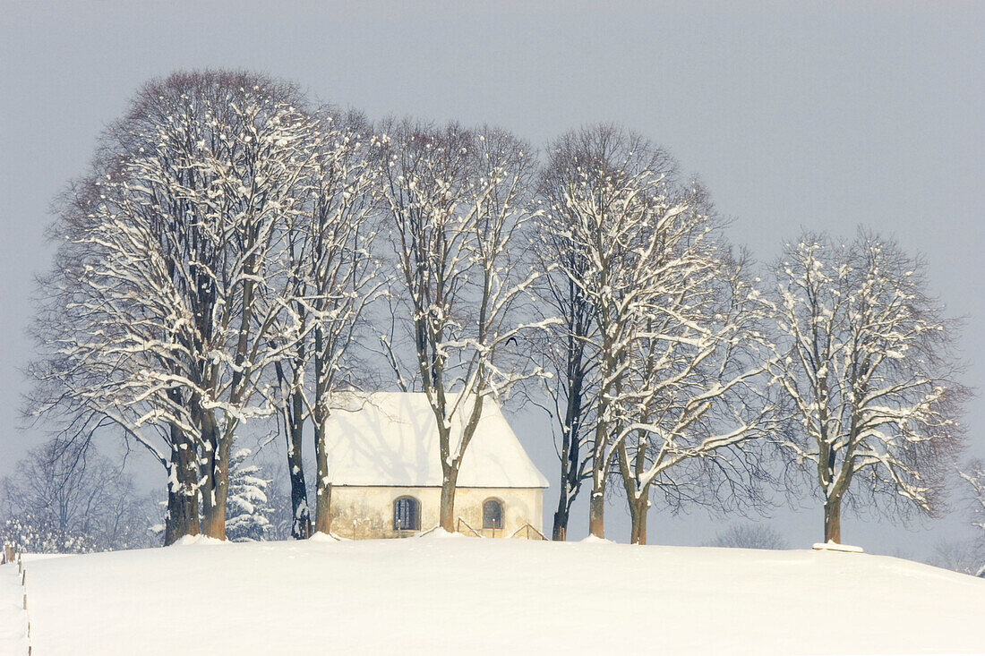 Kapelle hinter Bäumen im Winter bei Antdorf, Oberbayern, Deutschland