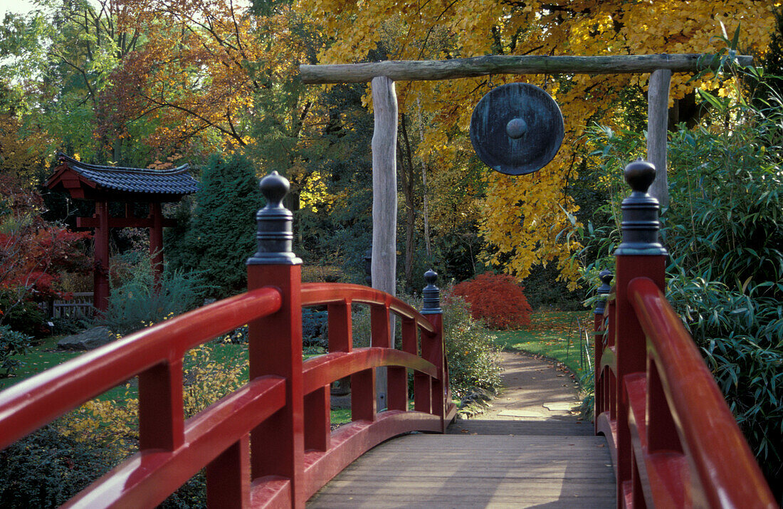 Brücke, Japanischer Garten, Leverkusen, Nordrhein-Westfalen, Deutschland