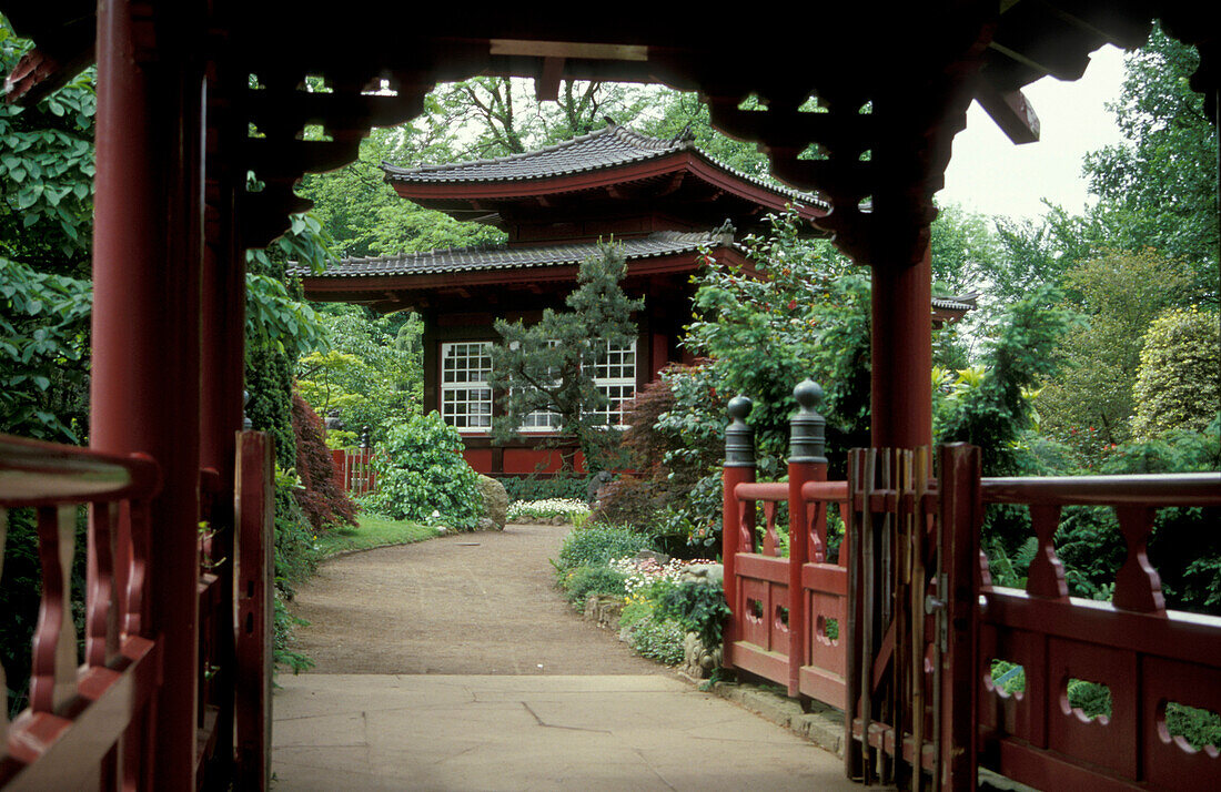 Japanischer Garten, Leverkusen, Nordrhein-Westfalen, Deutschland